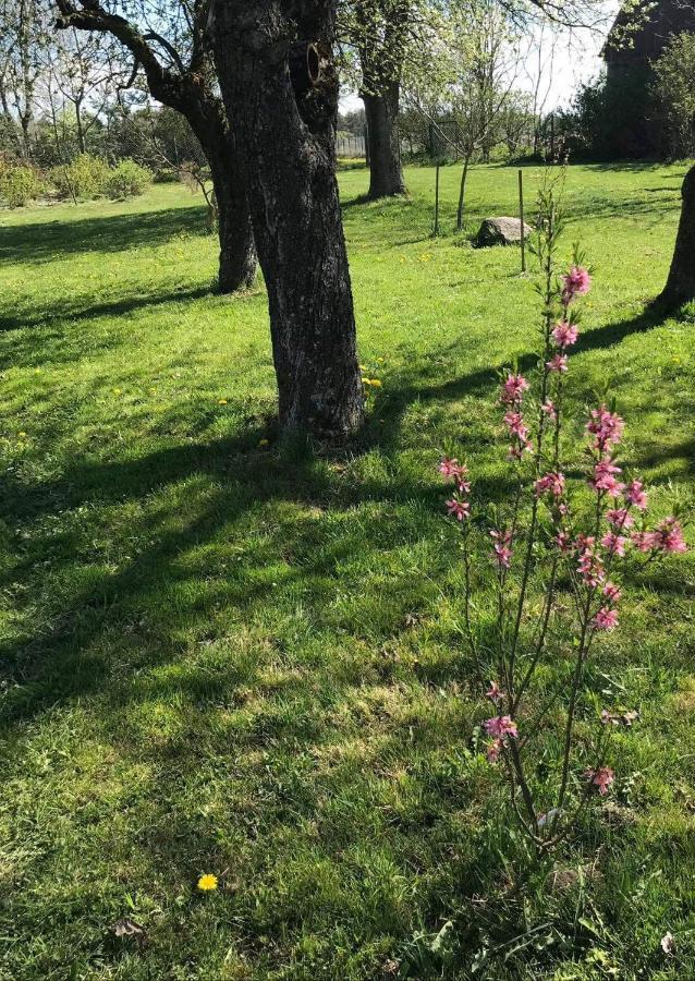 Kalinka - Na Koncu Swiata Ferienhaus Czeremcha