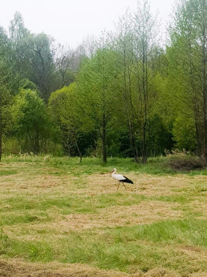 Kalinka - Na Koncu Swiata Ferienhaus Czeremcha
